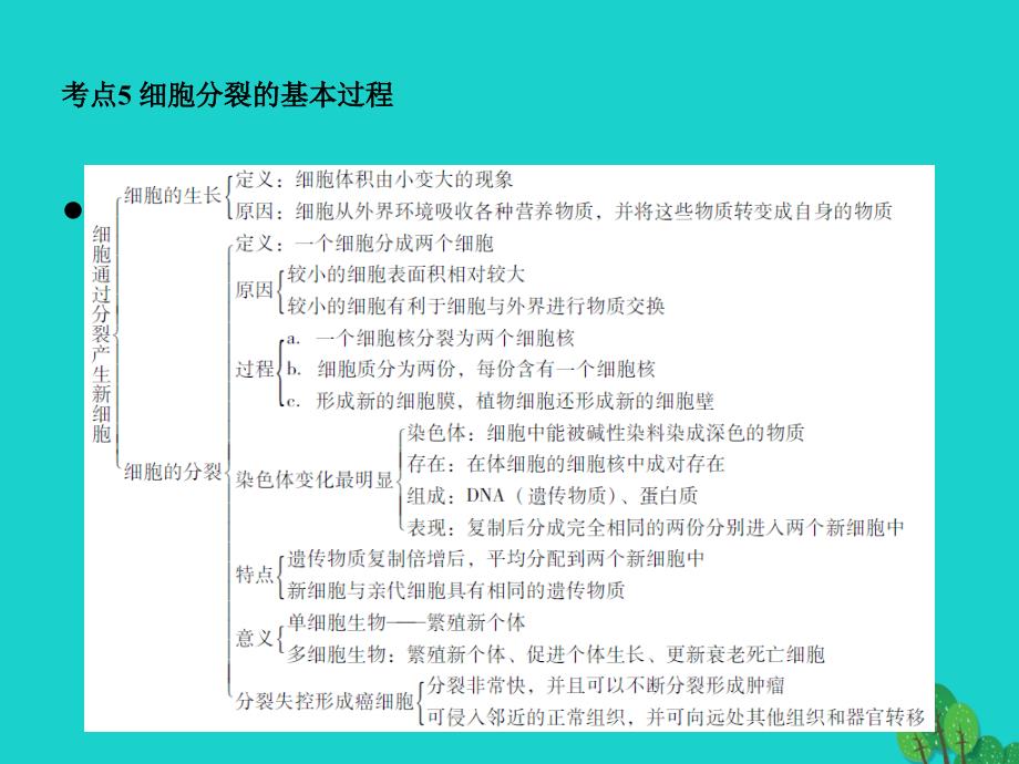 中考生物 第2单元 考点5 细胞分裂的基本过程课件 新人教版_第1页