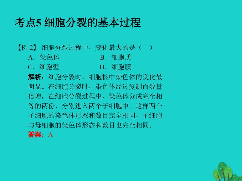 中考生物 第2单元 考点5 细胞分裂的基本过程课件 新人教版_第3页