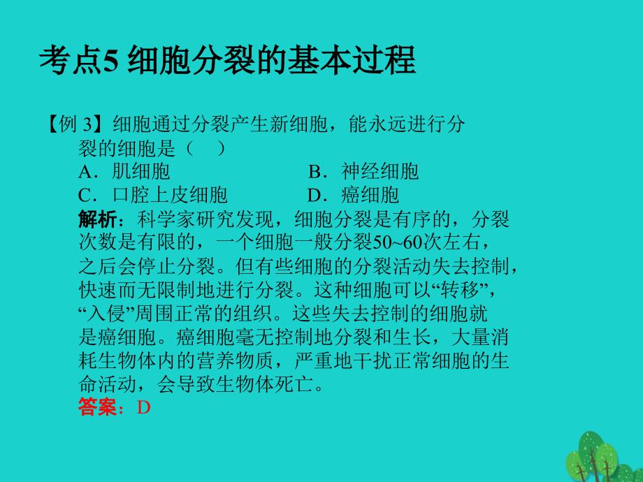 中考生物 第2单元 考点5 细胞分裂的基本过程课件 新人教版_第4页