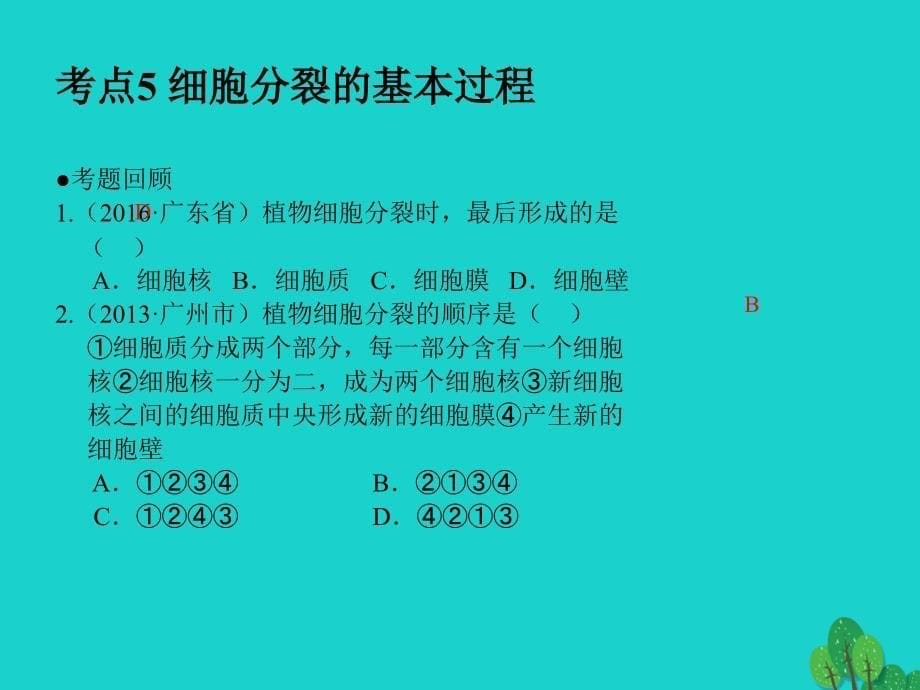 中考生物 第2单元 考点5 细胞分裂的基本过程课件 新人教版_第5页