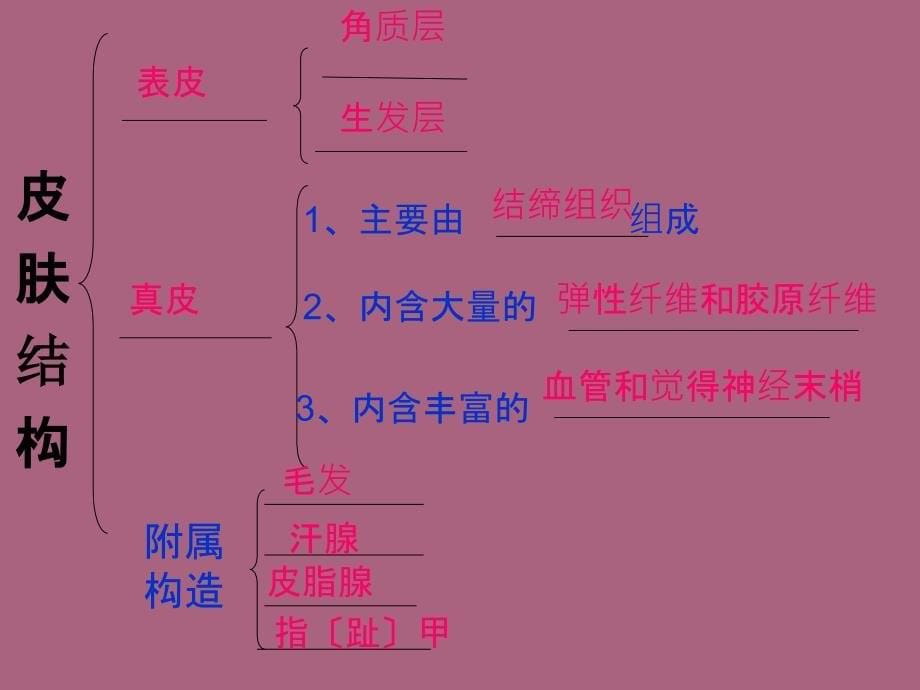 生物汗液的形成和排出ppt课件_第5页