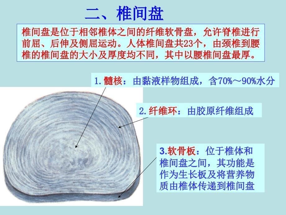 腰部损伤课件_第5页