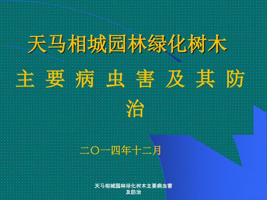 天马相城园林绿化树木主要病虫害及防治课件_第1页