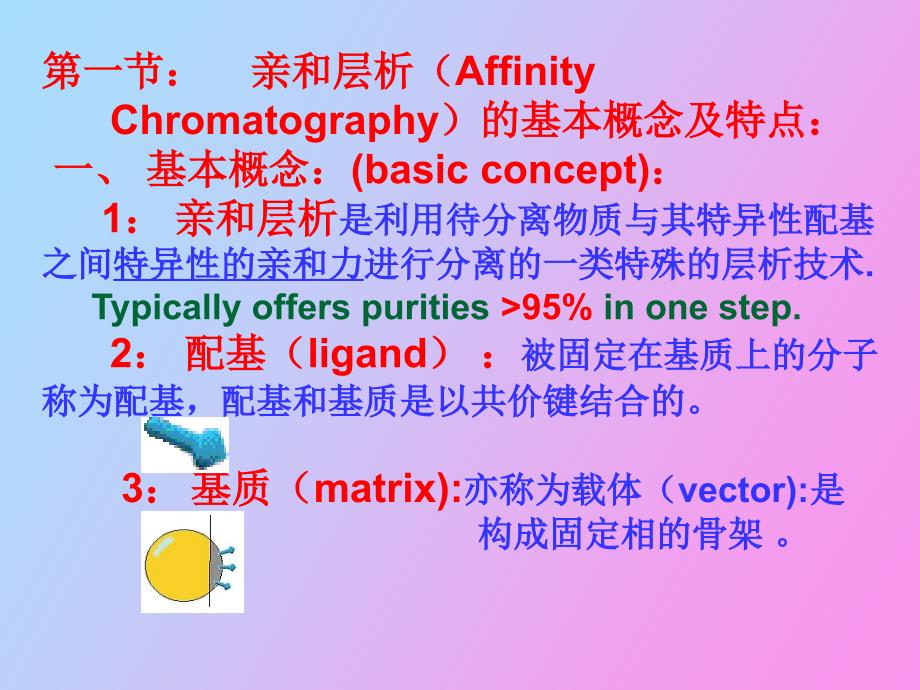 生物制药工艺学中亲和层析_第3页