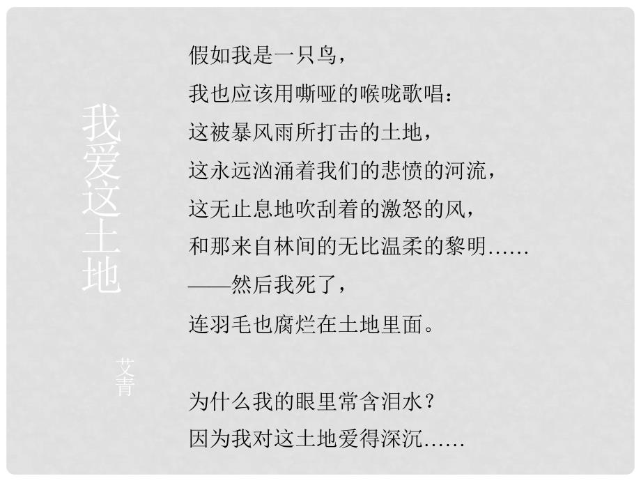 湖北省襄樊市南漳巡检中学九年级语文下册《诗两首 我爱这土地》教学课件 新人教版_第2页