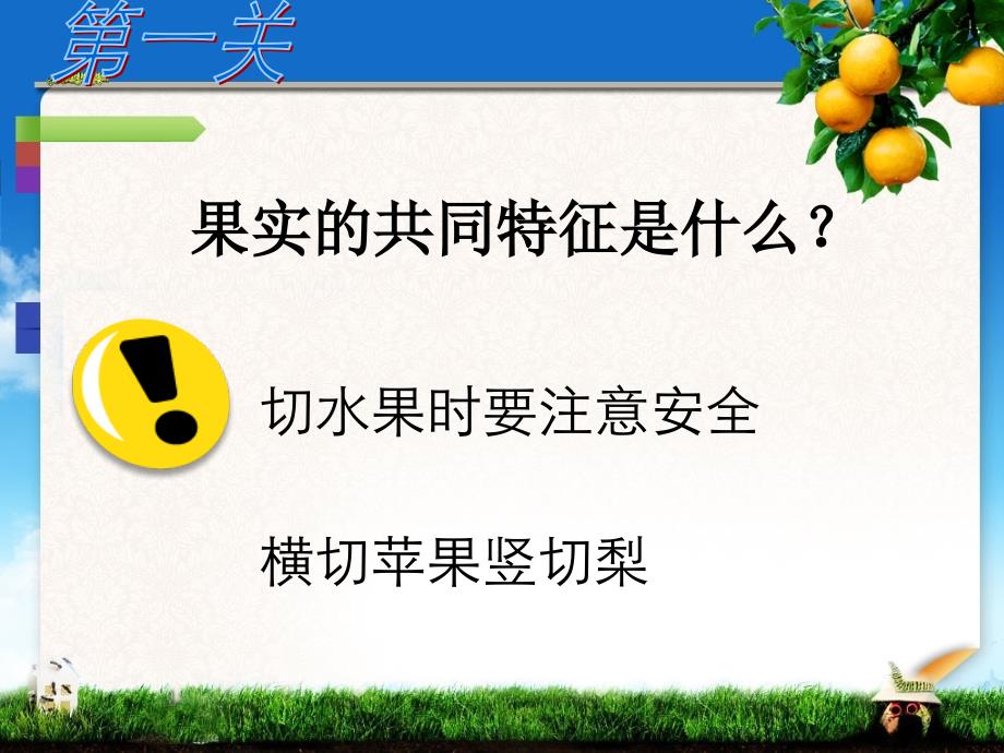 青岛版小学科学五年级下册果实是怎样形成的课件_第3页