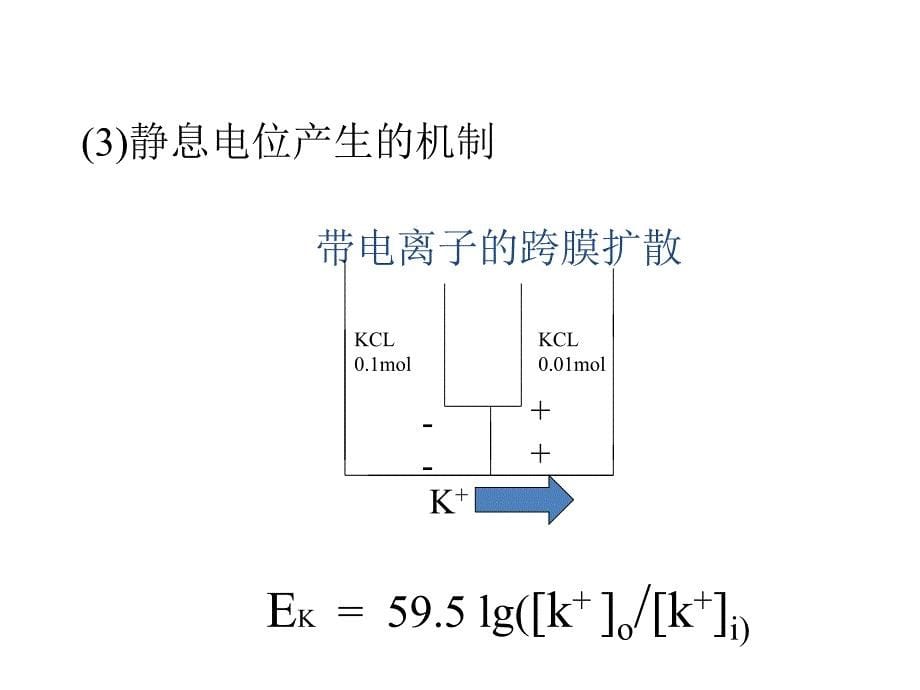 第二章神经的兴奋与传导_第5页