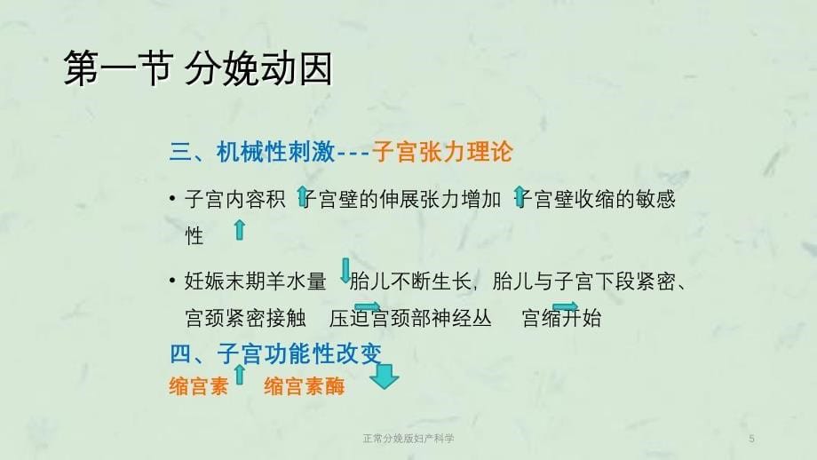 正常分娩版妇产科学课件_第5页