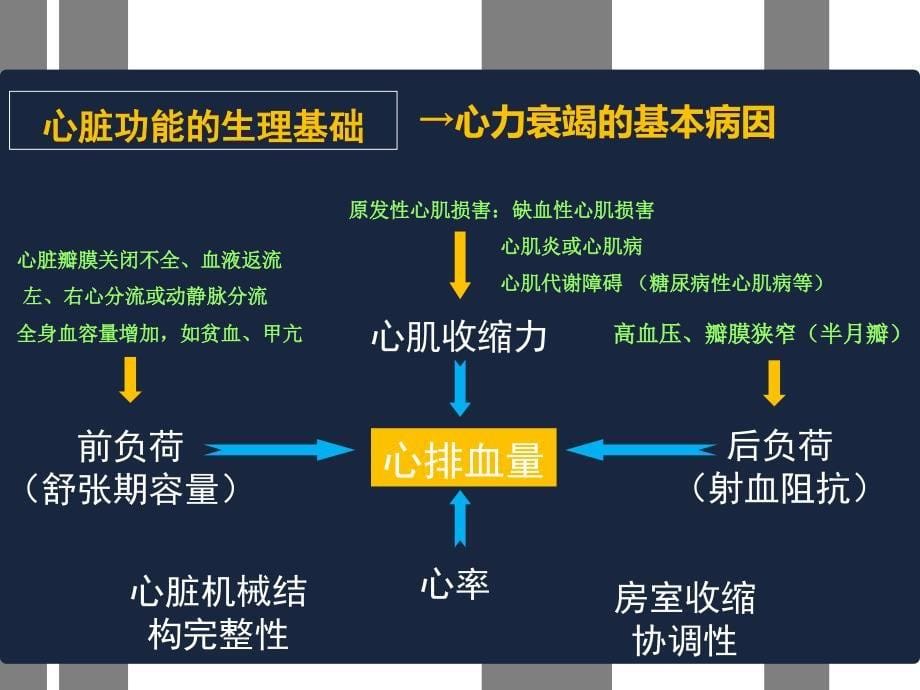 心力衰竭护理新进展ppt幻灯片课件_第5页