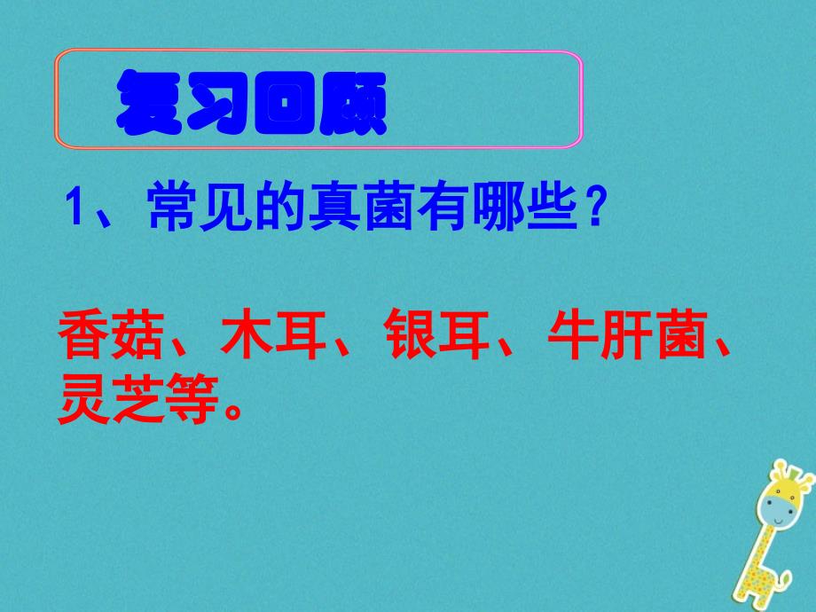 八年级生物上册 5.4.4细菌真菌在自然界中的作用 （新版）新人教版_第1页