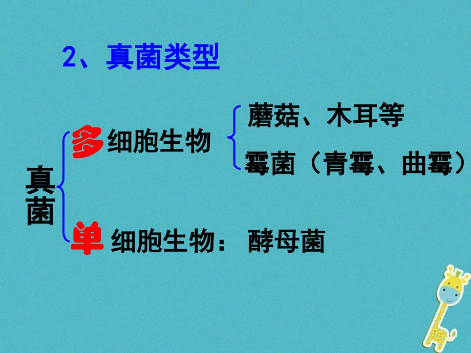 八年级生物上册 5.4.4细菌真菌在自然界中的作用 （新版）新人教版_第2页