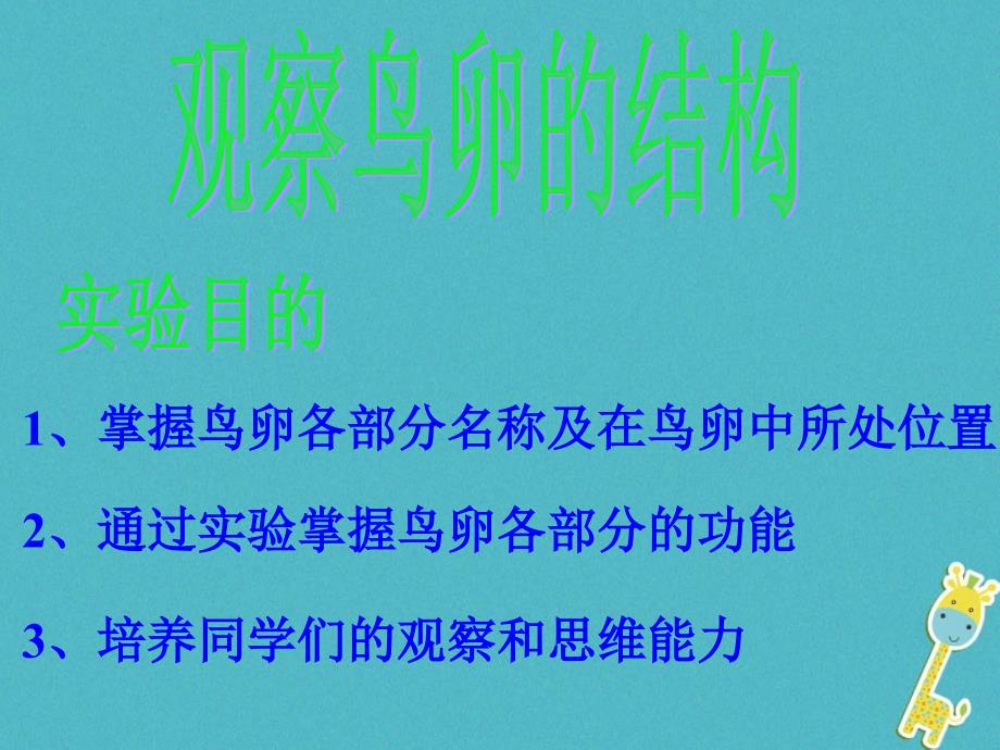 八年级生物下册7.1.4鸟的生殖和发育课件2新版新人教版_第2页