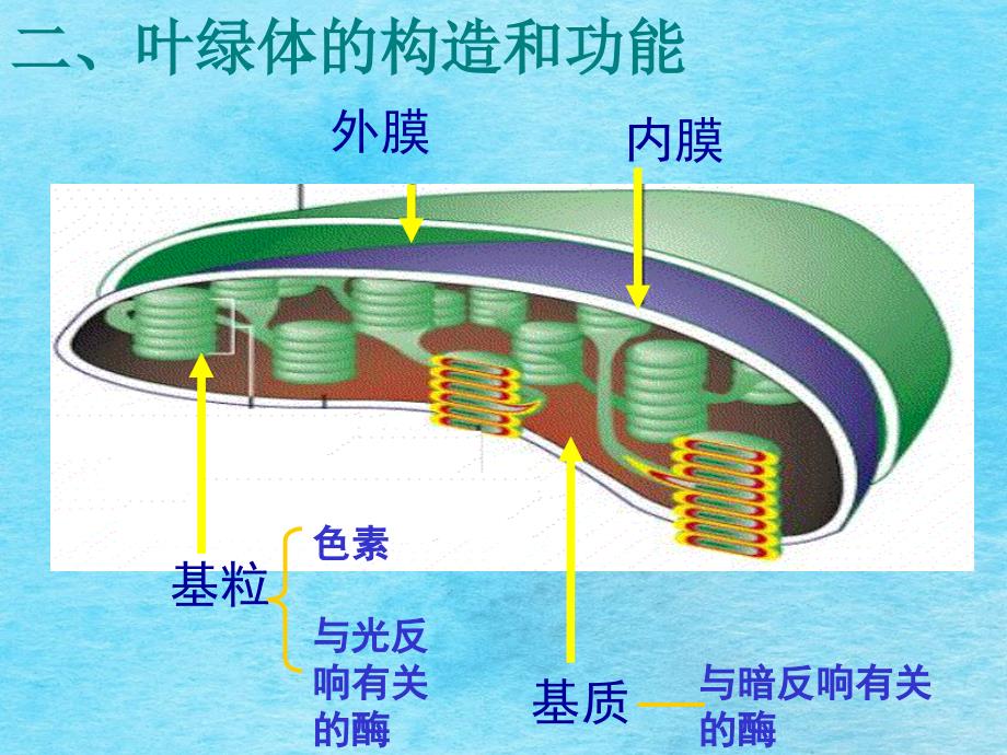 细胞生物学光合作用ppt课件_第3页