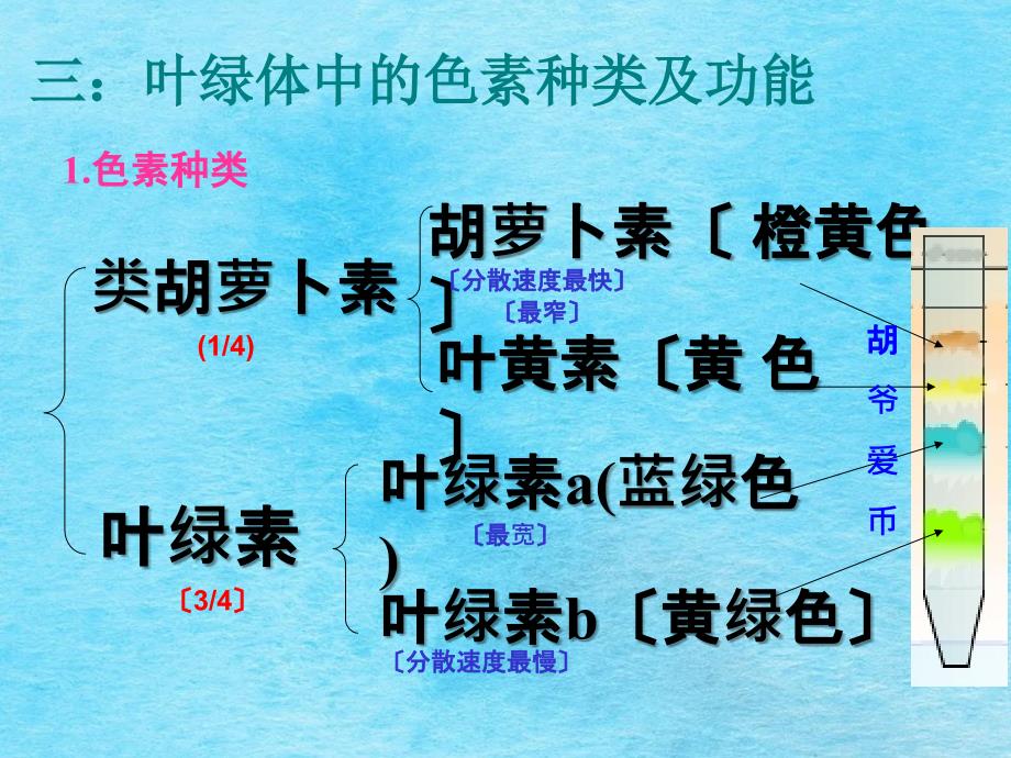 细胞生物学光合作用ppt课件_第4页