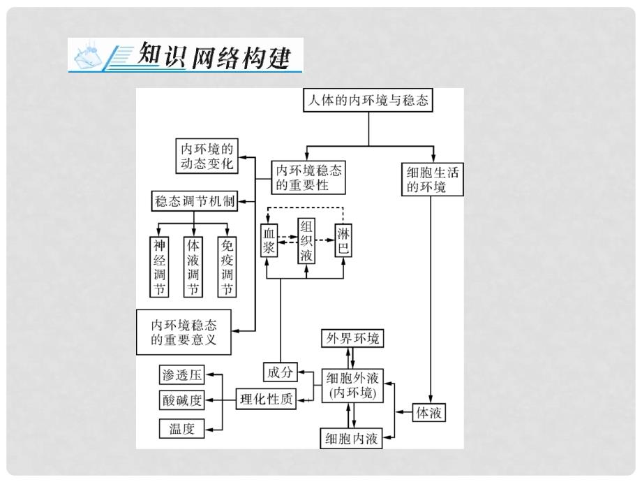 高考生物一轮总复习 第1章 人体的内环境与稳态章末知识提升课件 必修3_第2页