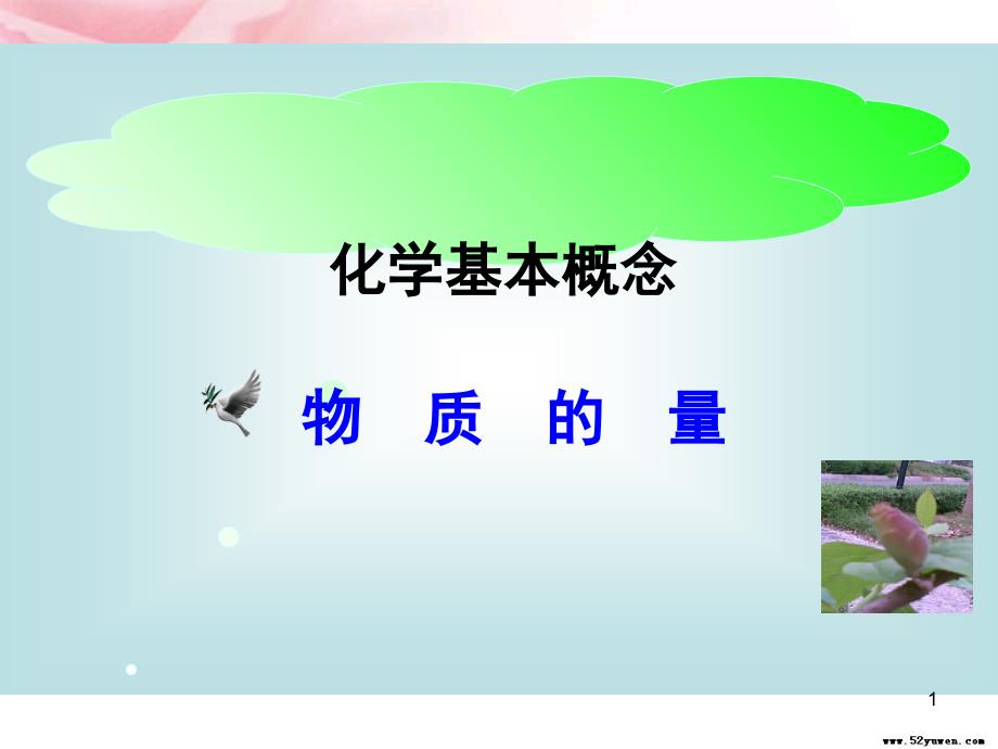 第一轮复习物质的量PPT课件_第1页