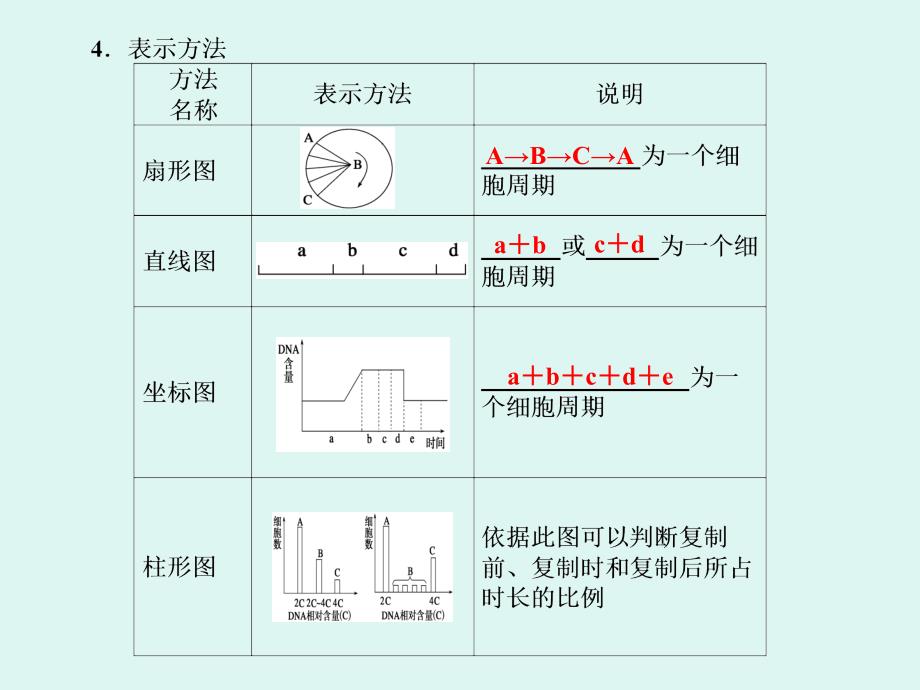 细胞分裂和受精作用_第2页