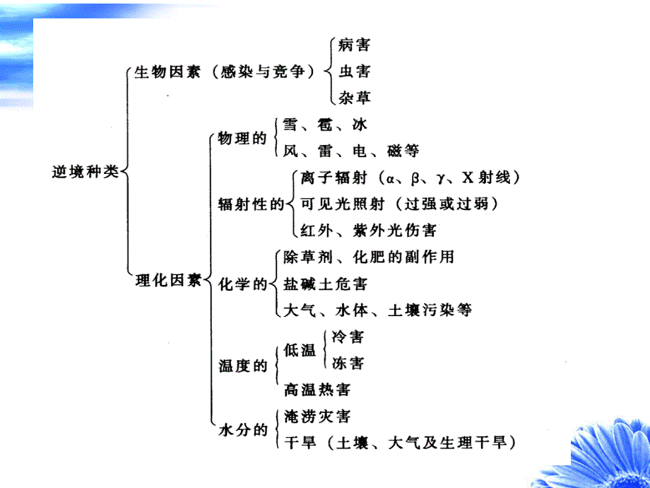 植物生理学第十三章植物的逆境生理_第3页