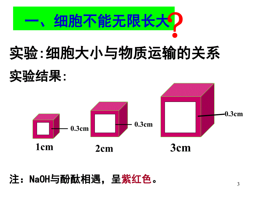 细胞增殖优质课ppt课件_第3页