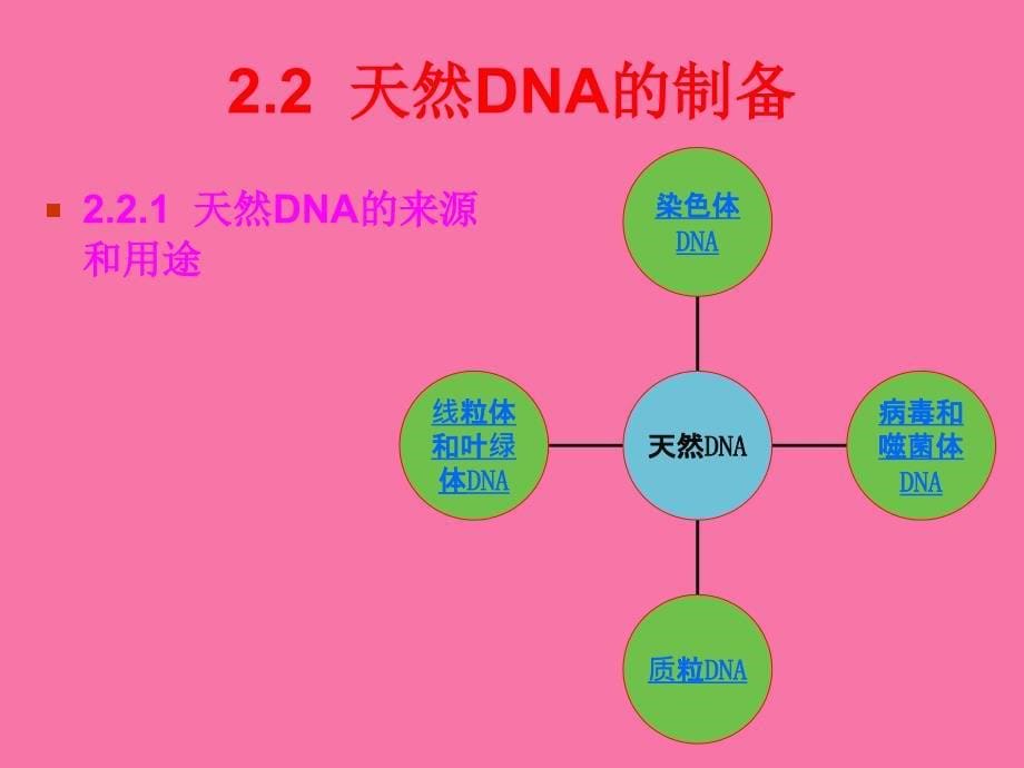 dna重组ppt课件_第5页