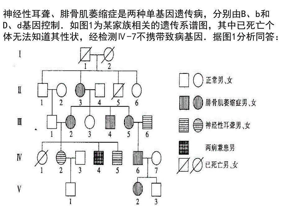 电泳分析遗传试题_第1页