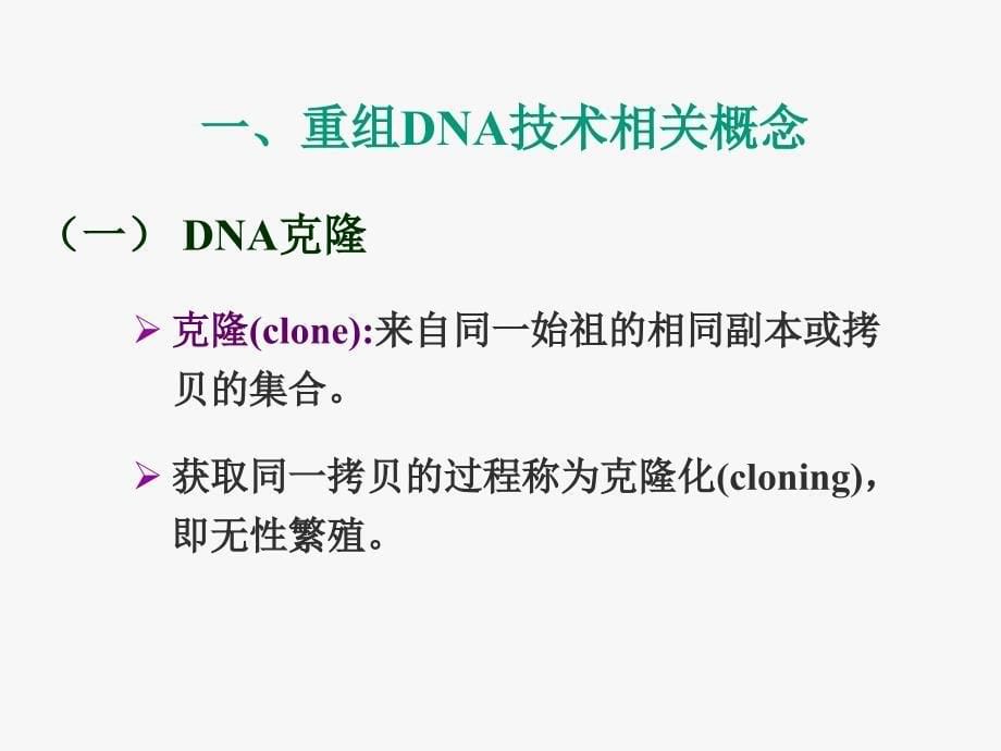 外源基因表达与基因工程药物_第5页