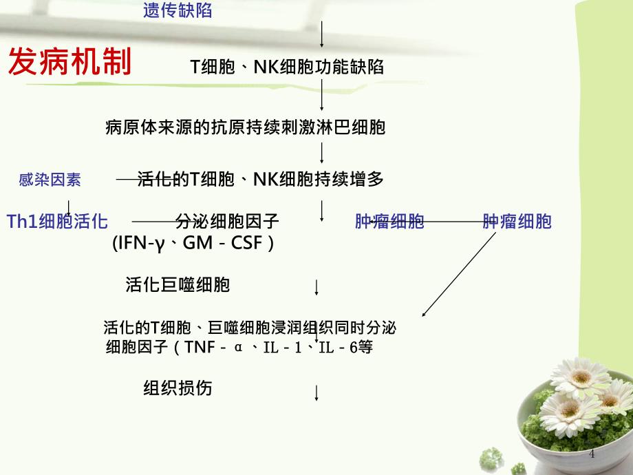 嗜血细胞综合症护理查房ppt_第4页