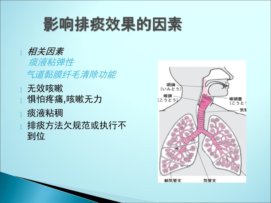 促进有效排痰_第3页