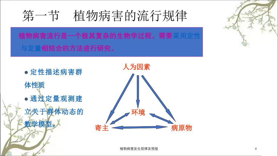 植物病害发生规律及预报课件_第4页