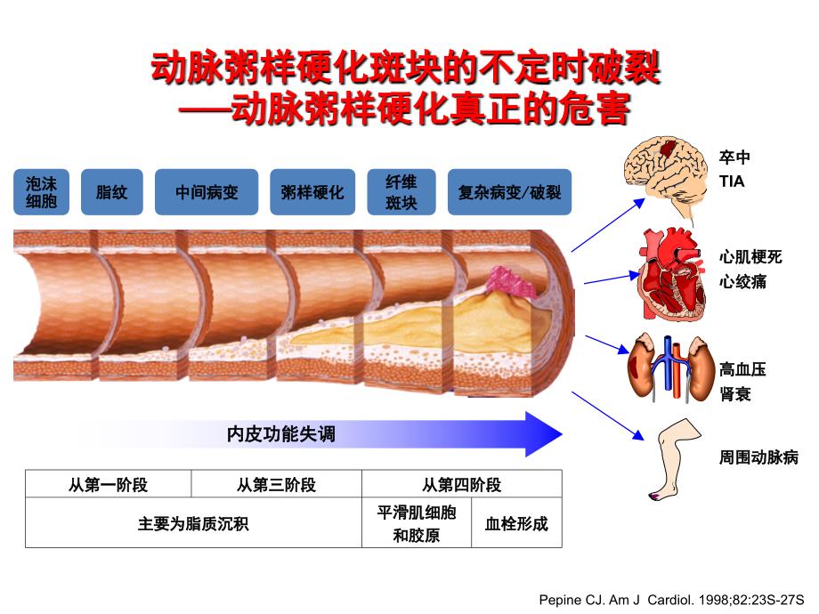 《健康常识》PPT课件_第4页