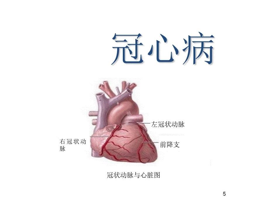 《健康常识》PPT课件_第5页