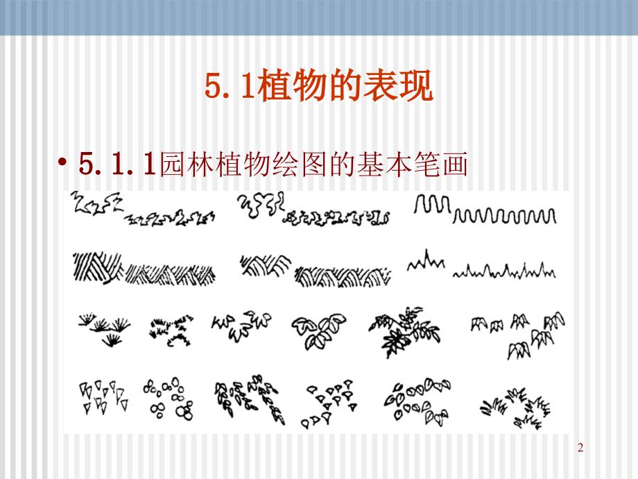 园林制图与识图课件第五章园林要素的画法ppt课件_第2页