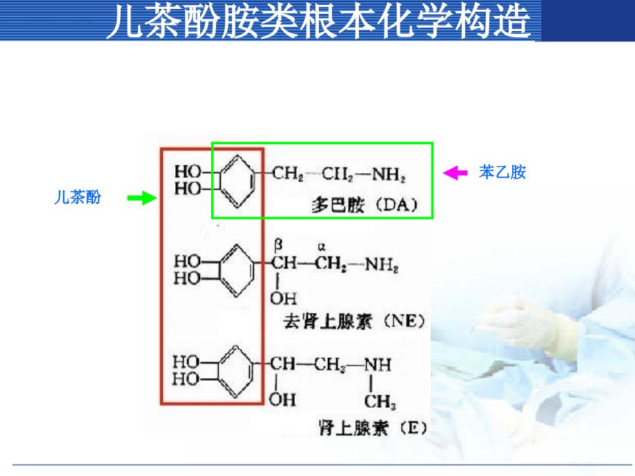 肾上腺素激动药2ppt课件_第2页