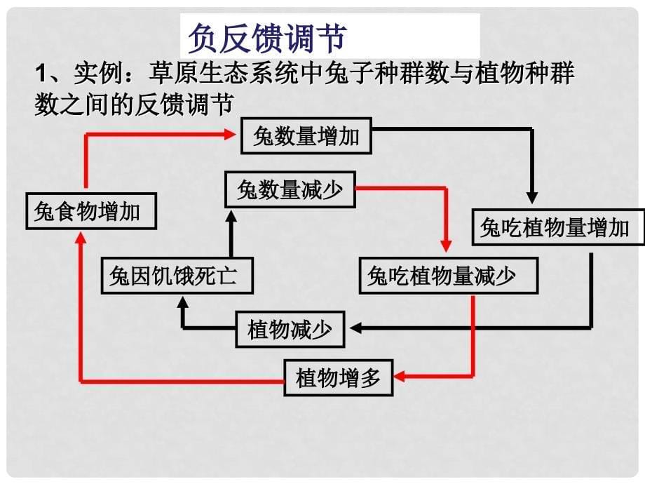 高中生物浙科版生态系统的稳态及其调节课件必修3_第5页