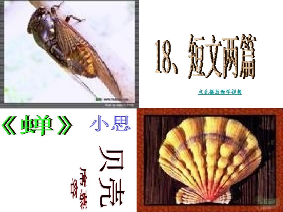 18短文两篇_蝉和贝壳_优秀PPT课件_第1页