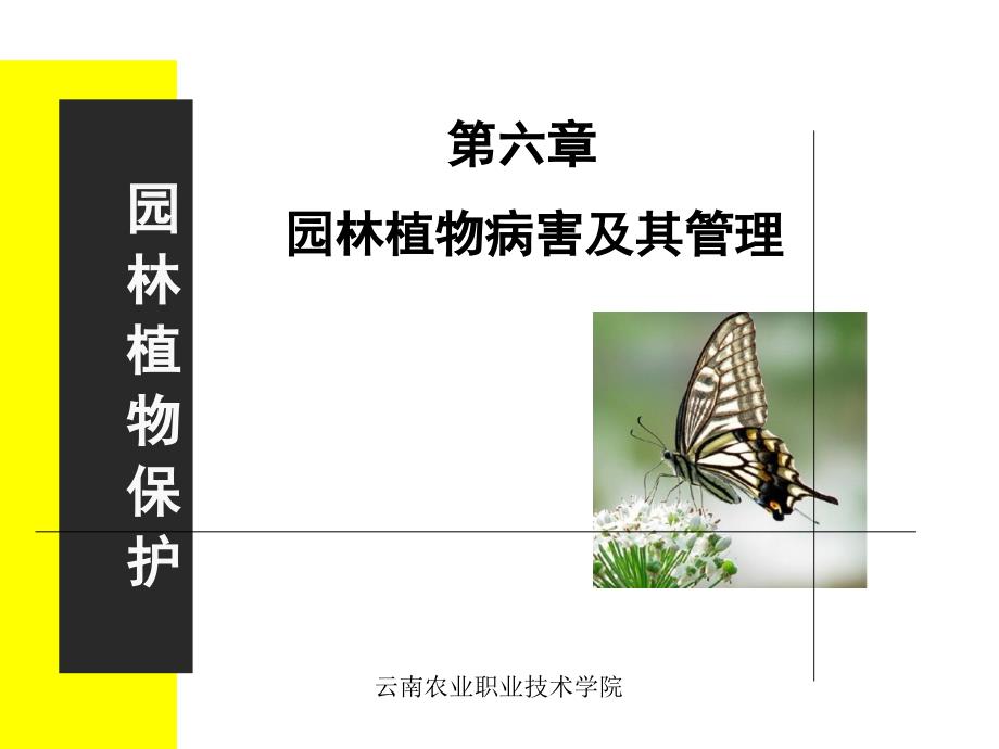 园林植物病害及其管理_第1页