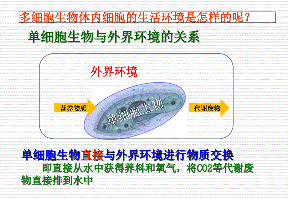 人体的内环境课件ppt共27页_第4页