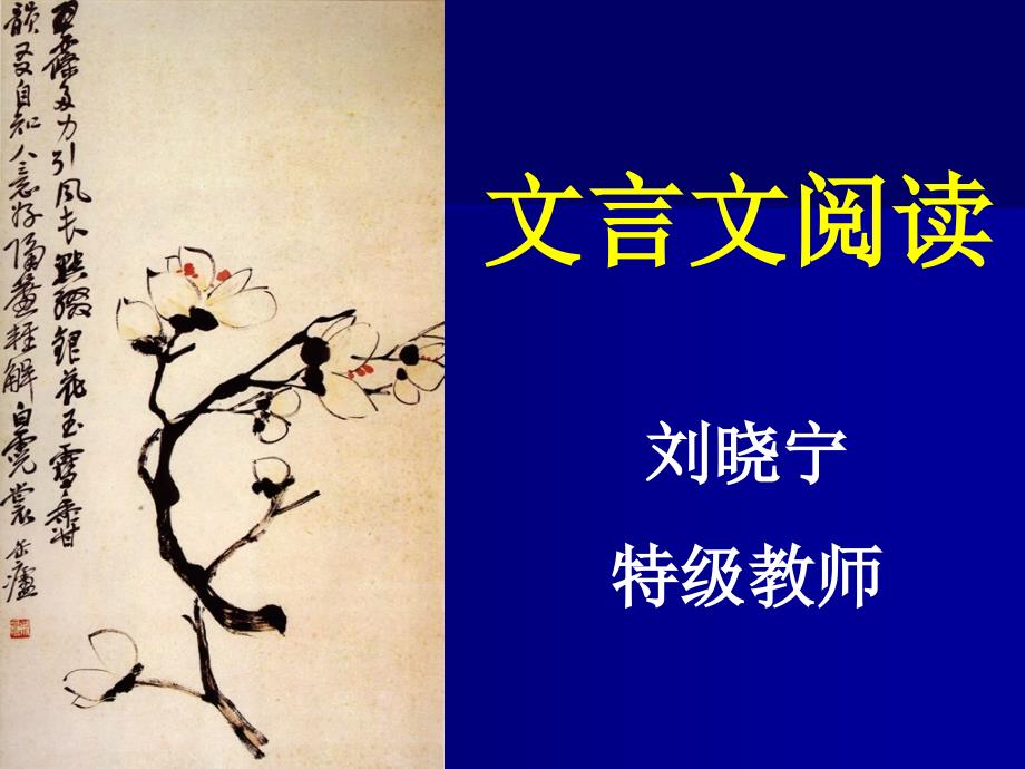 特级教师刘晓宁文言文阅读.ppt_第1页