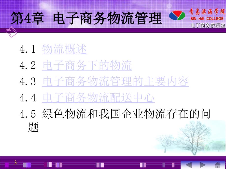 电子商务物流管理PPT通用课件_第3页