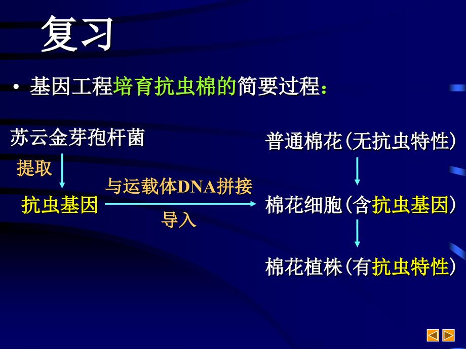 高中生物基因工程ppt课件_第4页