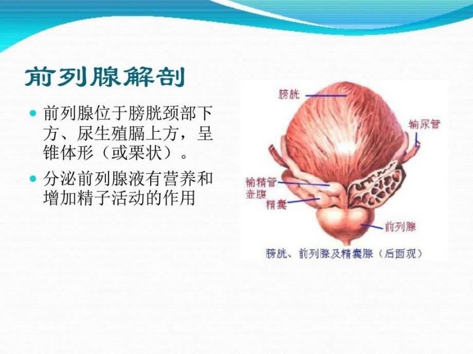 泌尿外科各种术后护理_第4页