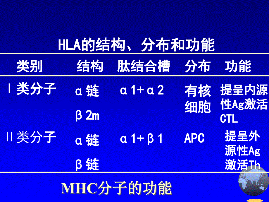 第0910章淋巴细胞_第2页