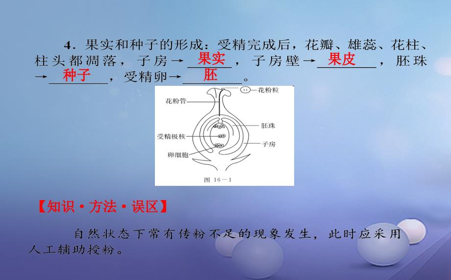 中考生物一轮复习热点专题突破植物的生殖与发育ppt课件_第4页