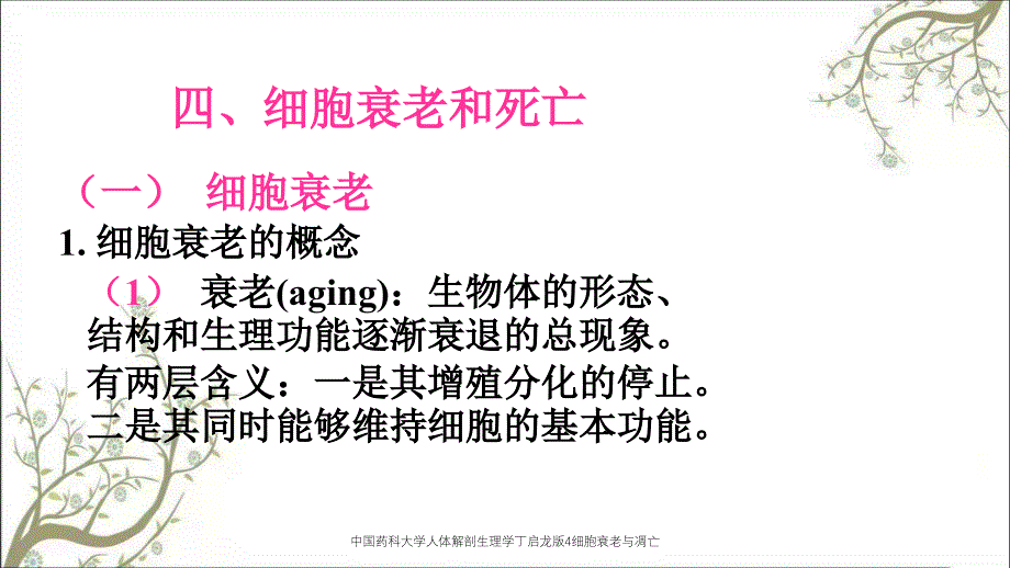 中国药科大学人体解剖生理学丁启龙版4细胞衰老与凋亡_第1页