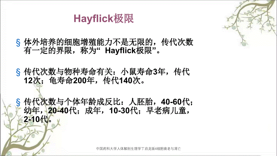 中国药科大学人体解剖生理学丁启龙版4细胞衰老与凋亡_第3页