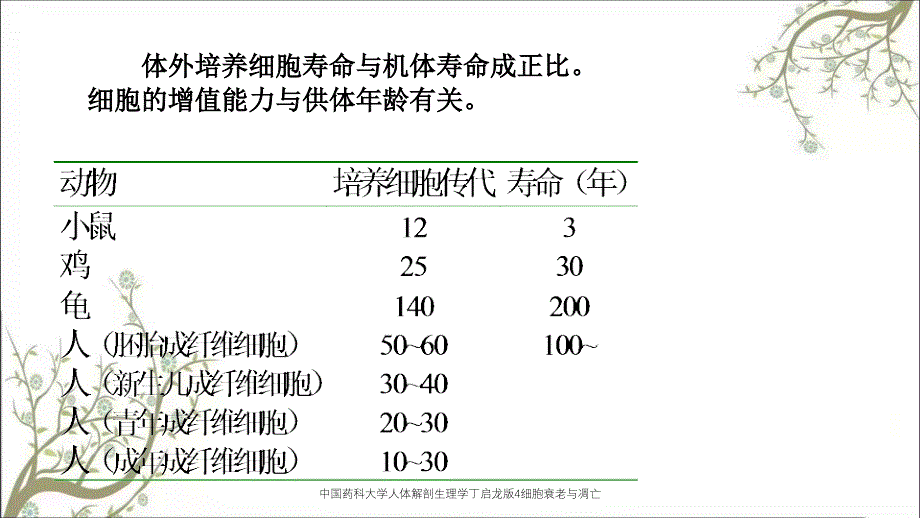 中国药科大学人体解剖生理学丁启龙版4细胞衰老与凋亡_第4页