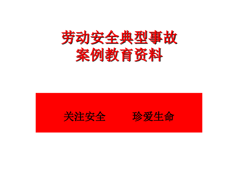 劳动安全事故案例教育_第1页