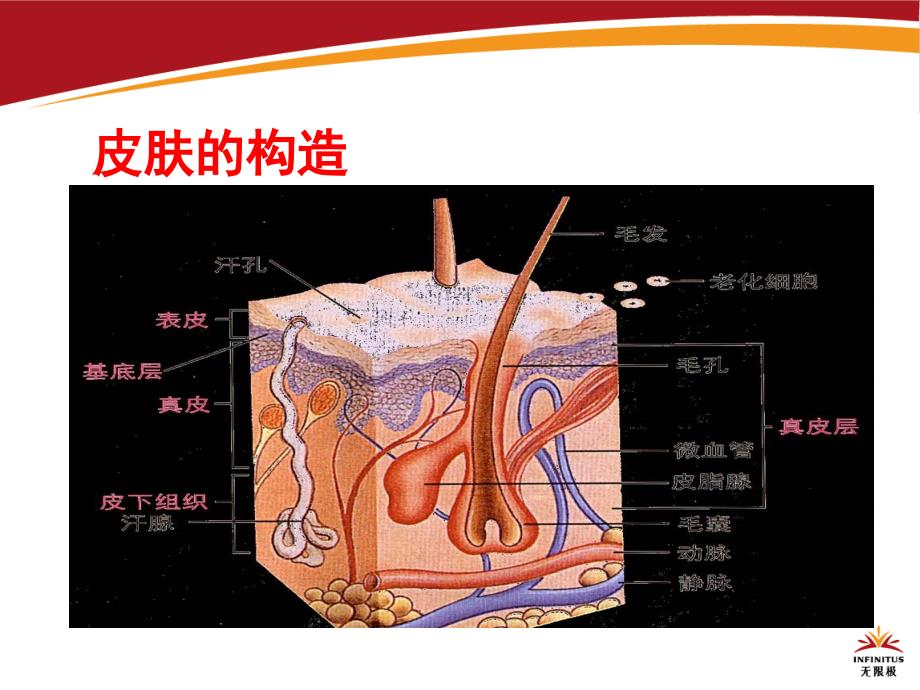 美丽有约(新民团队)_第3页