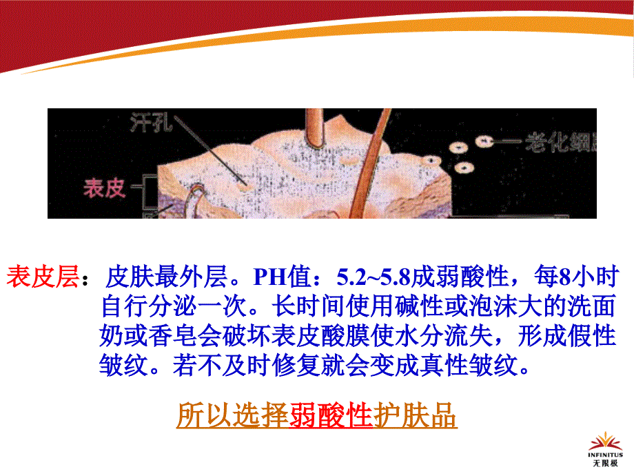 美丽有约(新民团队)_第4页