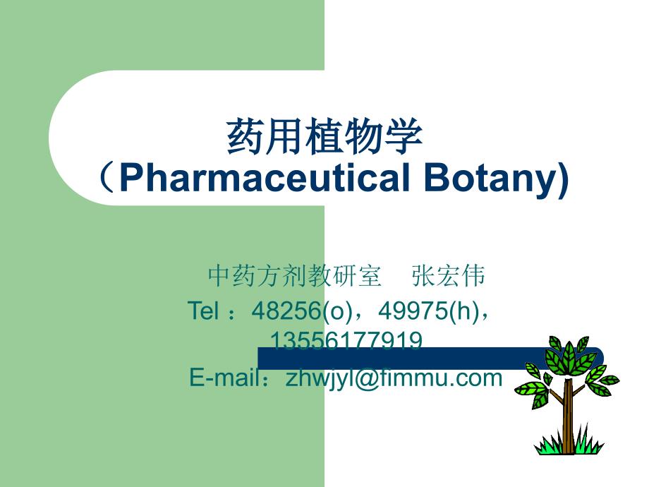 医药-临床-护理药用植物学绪论ppt课件_第2页